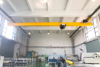 Electric Suspended Crane 1