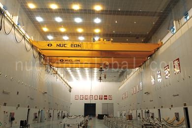 explosion proof crane 4