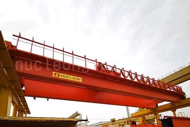 explosion proof crane 6