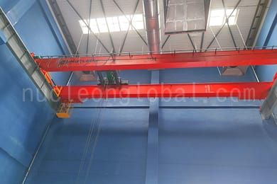 explosion proof crane 9