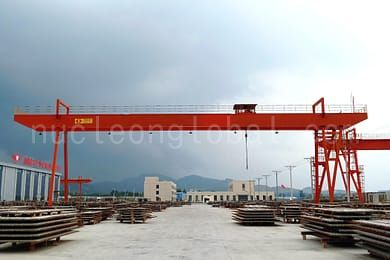 Double Girder Gantry Crane 12