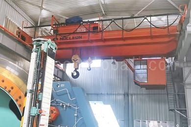 Dobleng overhead crane 6