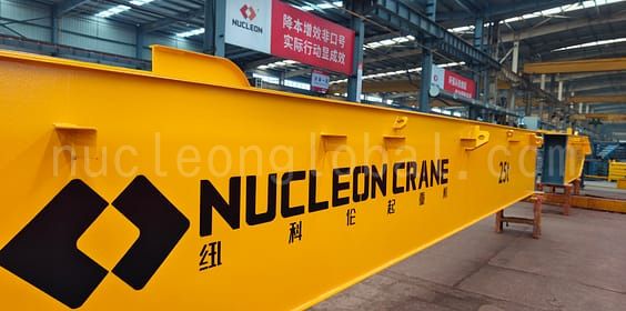 Explosion Proof Overhead Cranes 3